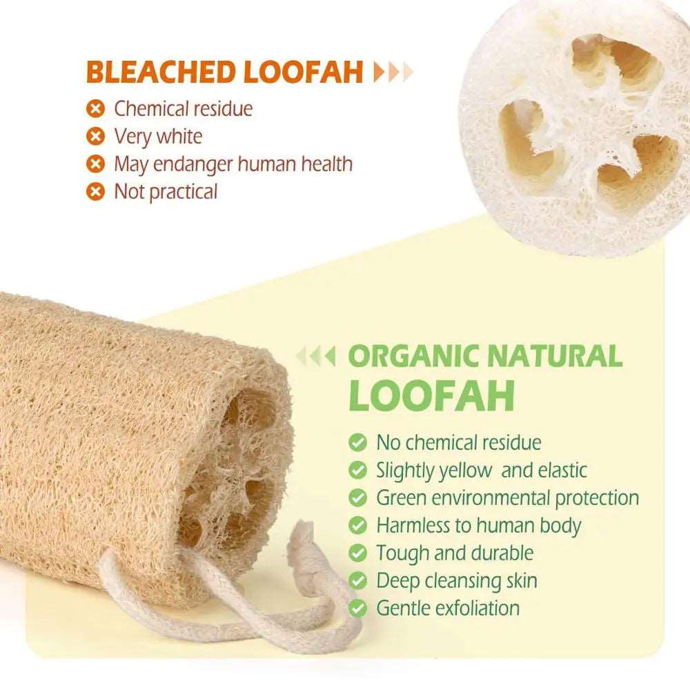 An image showcasing the natural texture and eco-friendly properties of the organic loofah body scrubber.