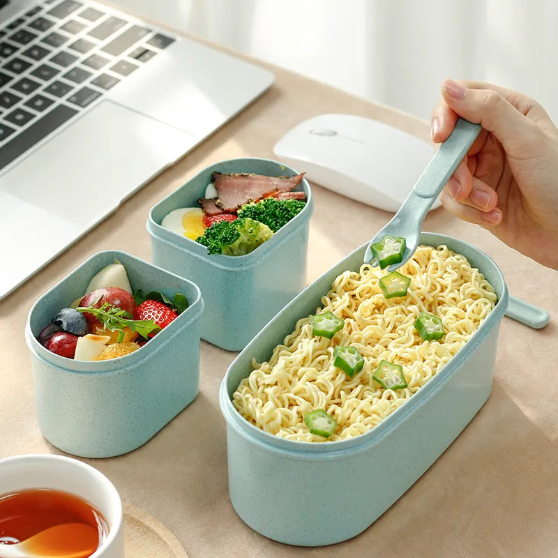 Eco Friendly Bento Style Lunch Box