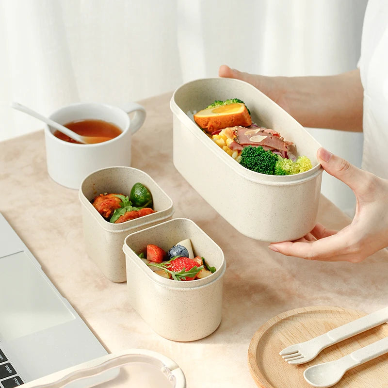 Eco Friendly Bento Style Lunch Box