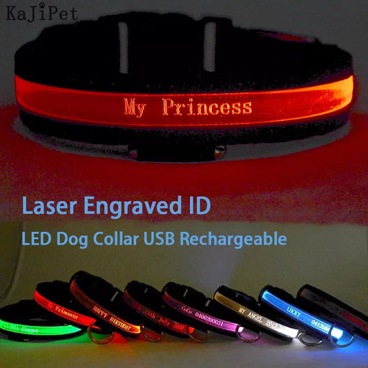 Engraved ID Luminous LED Pet Collar USB with Personalised Nylon Collar