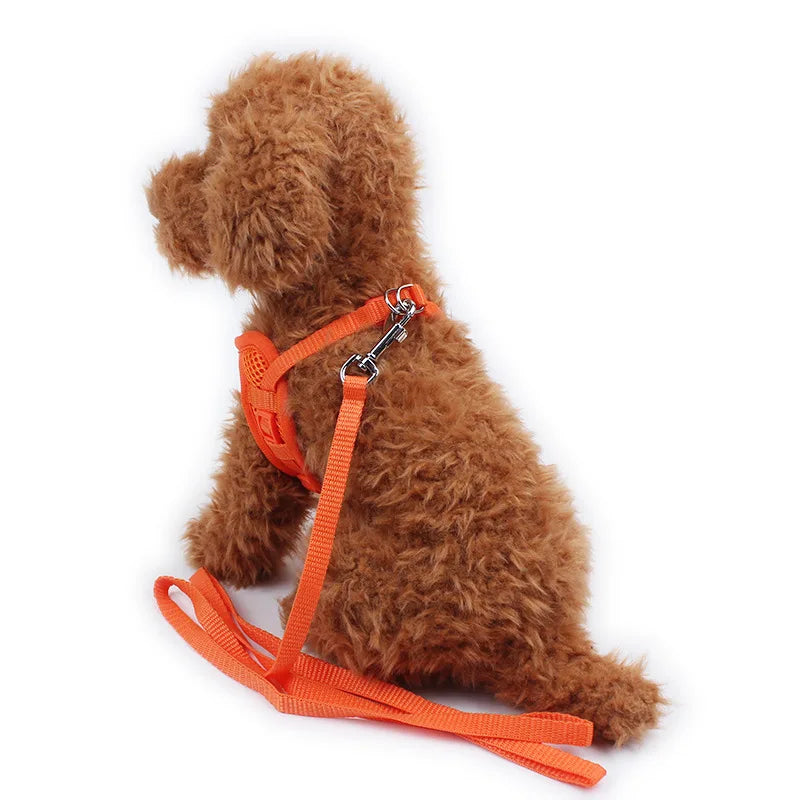 Soft Pet Harness Leash Set with Breathable Mesh & Adjustable