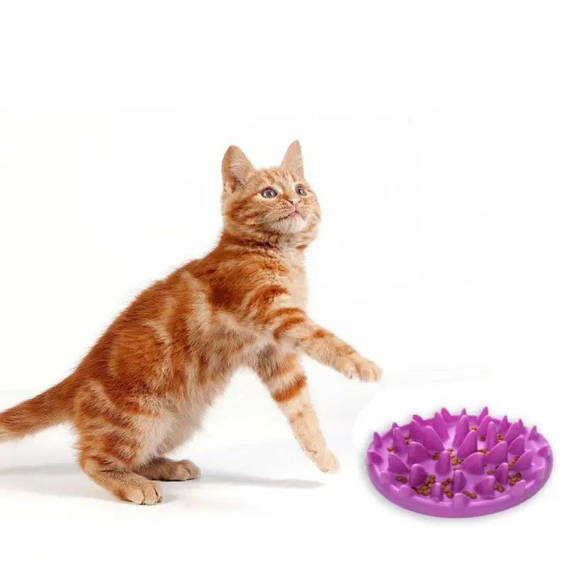 Reusable Hard Silicone Pet Bowls with Interactive Slow Feeder & Anti Gulping Feature & Non Slip