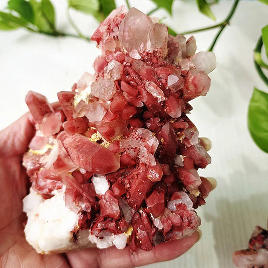 Rare Natural White & Red Quartz Crystal Cluster