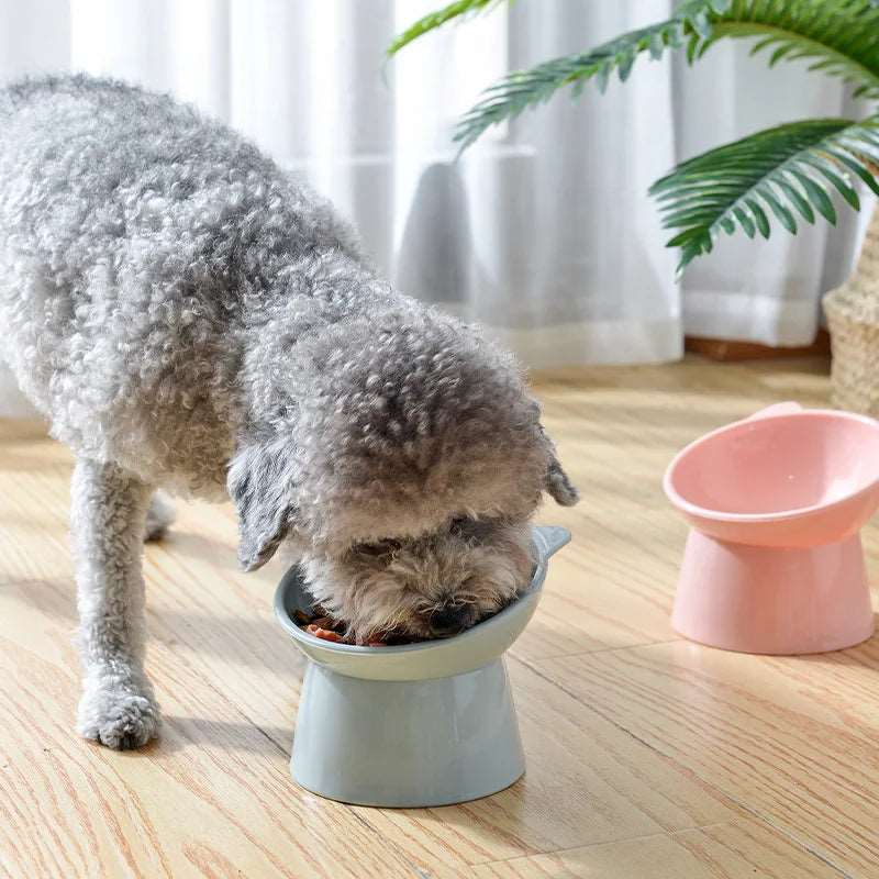 45°Neck Protector High Pet Food Bowl