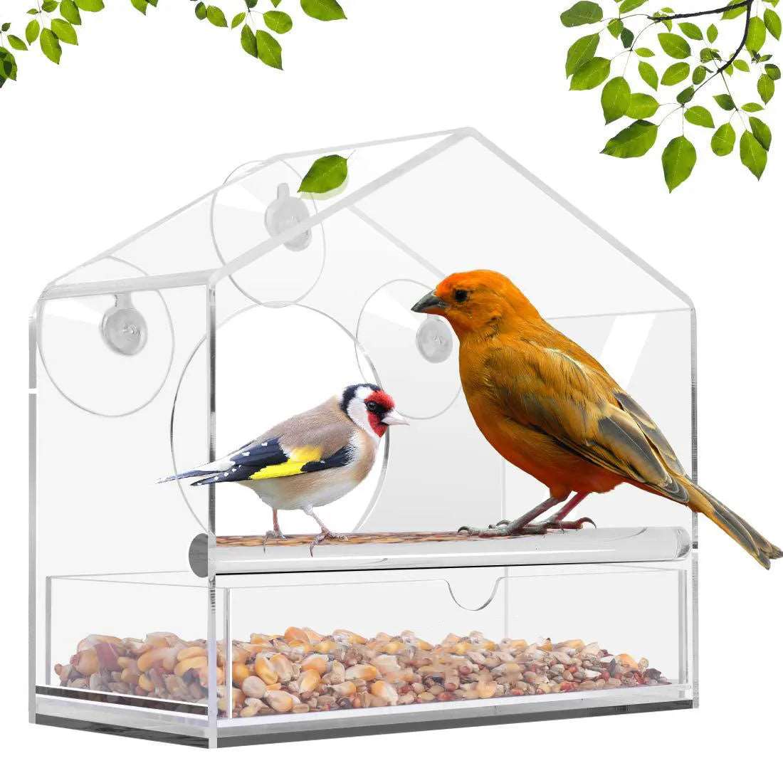 Acrylic Transparent Window Bird Feeder