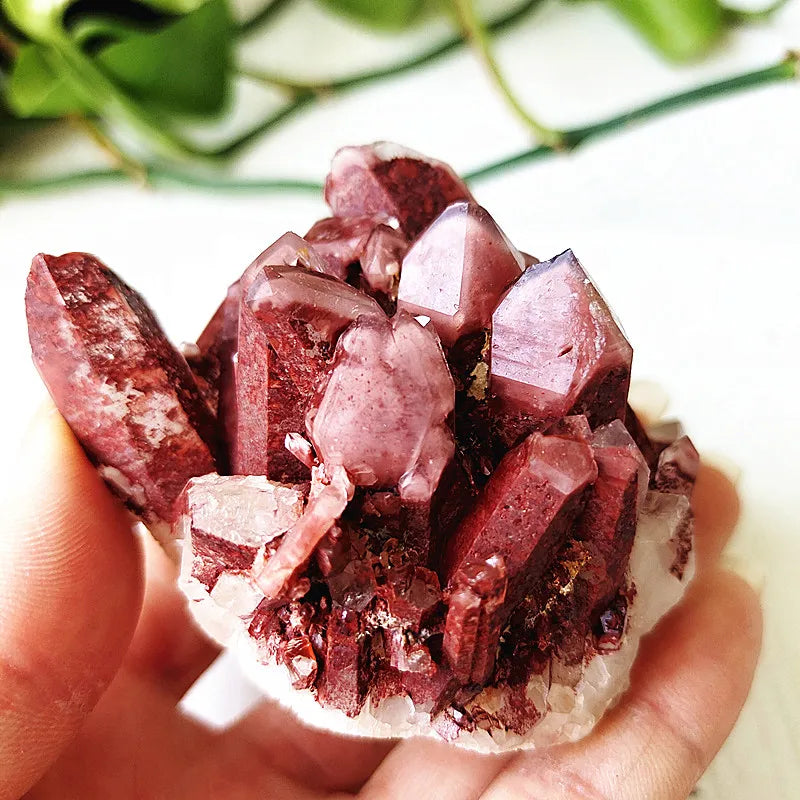 Rare Natural White & Red Quartz Crystal Cluster