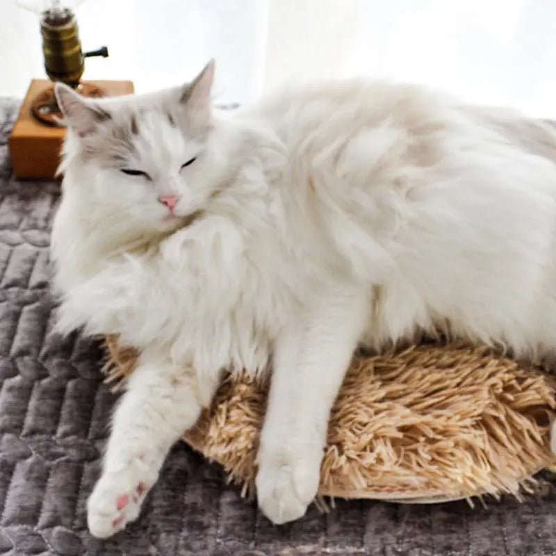 Electric USB Pet Blanket for Indoors