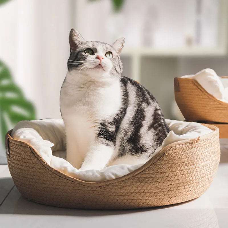 Bamboo Pet Bed Cozy Baskets with Waterproof Removable Cushion & Cover